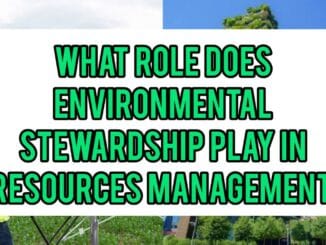 What Role Does Environmental Stewardship Play In Resource Management