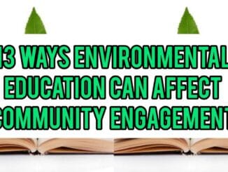 13 Ways Environmental Education Can Affect Community Engagement