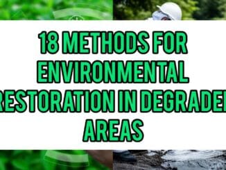 18 Methods For Environmental Restoration In Degraded Areas