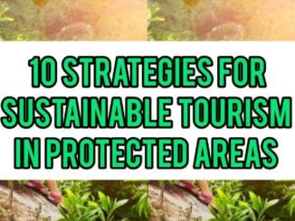 10 Strategies For Sustainable Tourism In Protected Areas