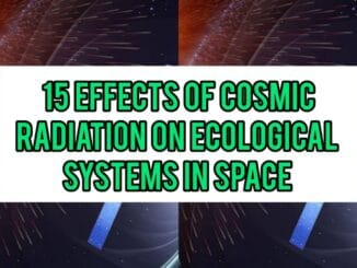 15 Effects Of Cosmic Radiation On Ecological Systems In Space