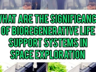 What Are The Significance Of Bioregenerative Life Support Systems In Space Exploration